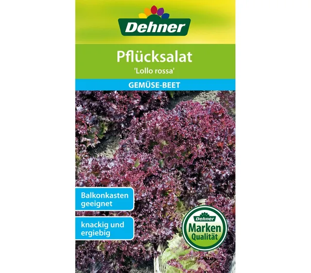 dehner-pfl-cksalat-lollo-rossa-saatgut-5x2g-gekraust image 1
