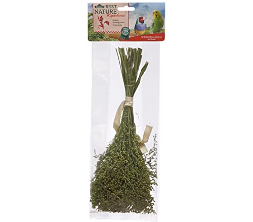 dehner-best-nature-vogelsnack-rispenhirse-10x50g-wellensittich image 7
