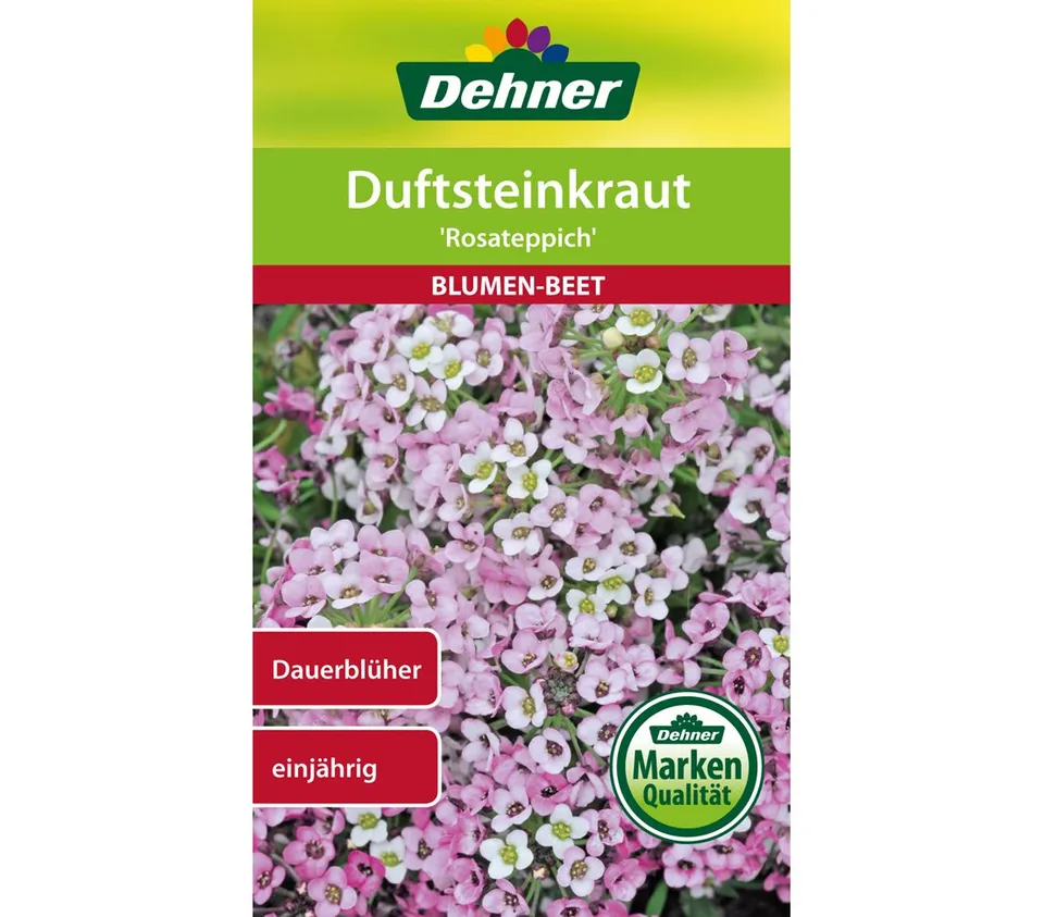 dehner-wild-nature-rosateppich-duftsteinkraut-samen-5er-pack image 1
