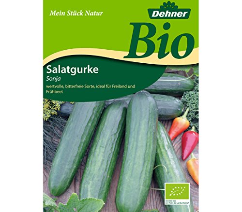 dehner-bio-salatgurke-sonja-gem-sesamen-5x1-4-g-bitterfrei image 3