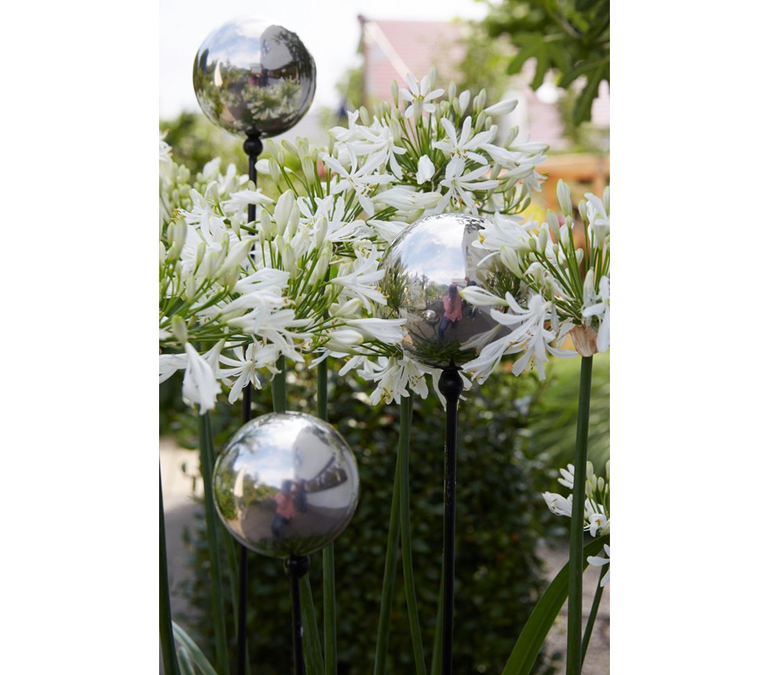 dehner-edelstahlkugel-poliert-silber-25-cm-gartenkugel image 3