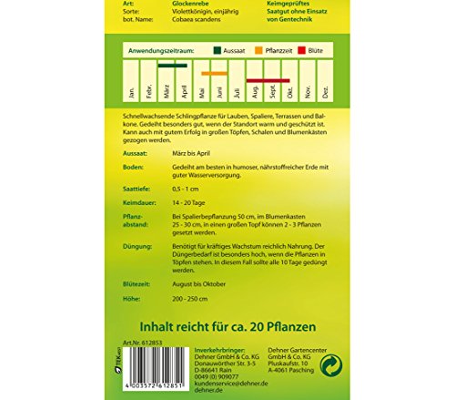 dehner-glockenrebe-violettk-nigin-blumensamen-5x2-5g-einj-hrig image 5