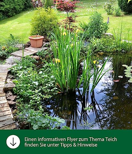 dehner-aqua-gartenteich-torf-10-l-teichpflege-f-r-4000-l-klares-wasser image 4