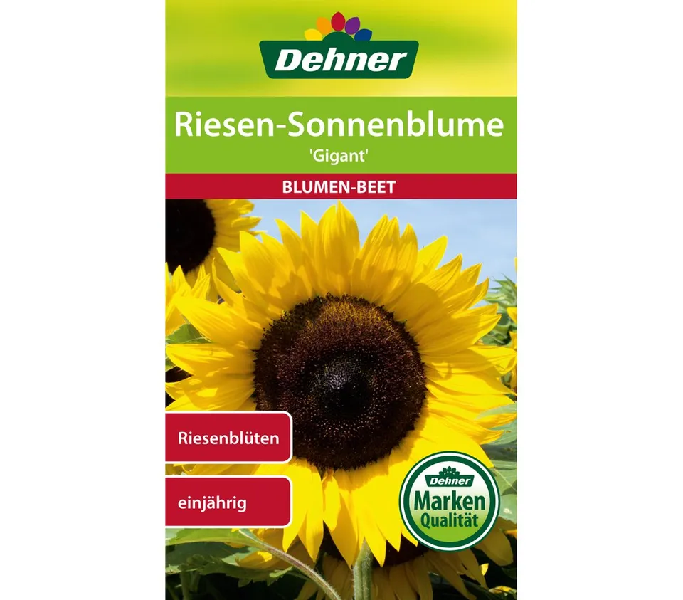 dehner-riesen-sonnenblume-gigant-blumensamen-5er-pack image 1
