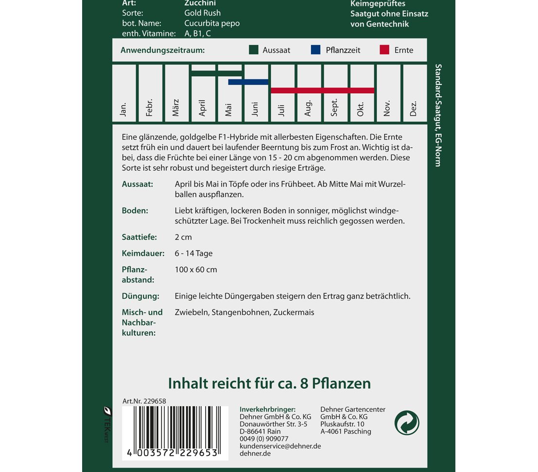 dehner-premium-zucchini-gold-rush-5x4-g-f1-gelb-ertragreich image 2