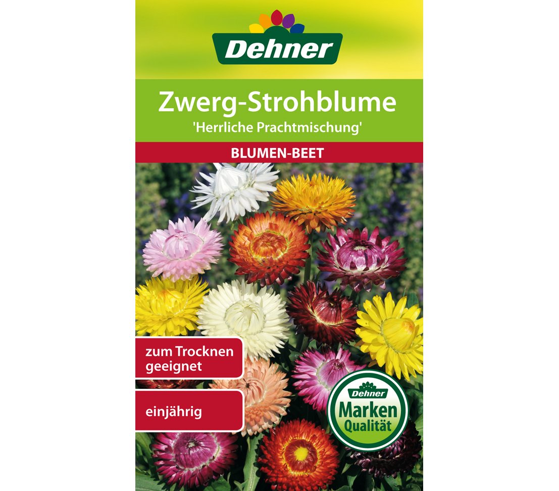 dehner-zwerg-strohblume-herrliche-prachtmischung-blumensamen-5er-pack image 1