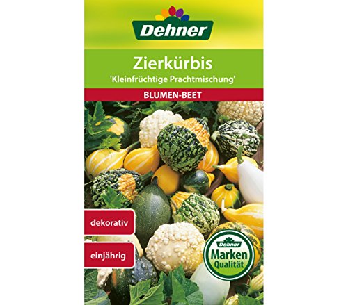 dehner-zierk-rbis-prachtmischung-blumensamen-5x2-5g-einj-hrig image 3