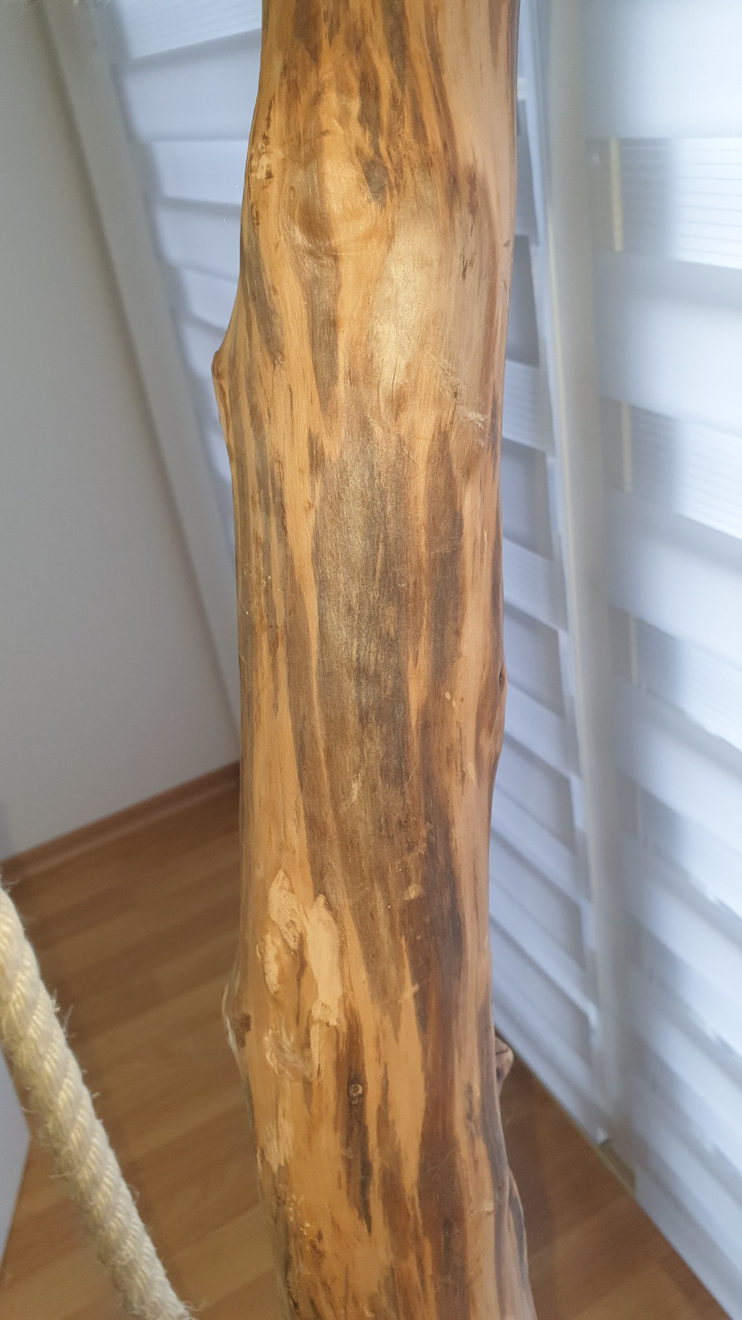 Fussel am Anfang