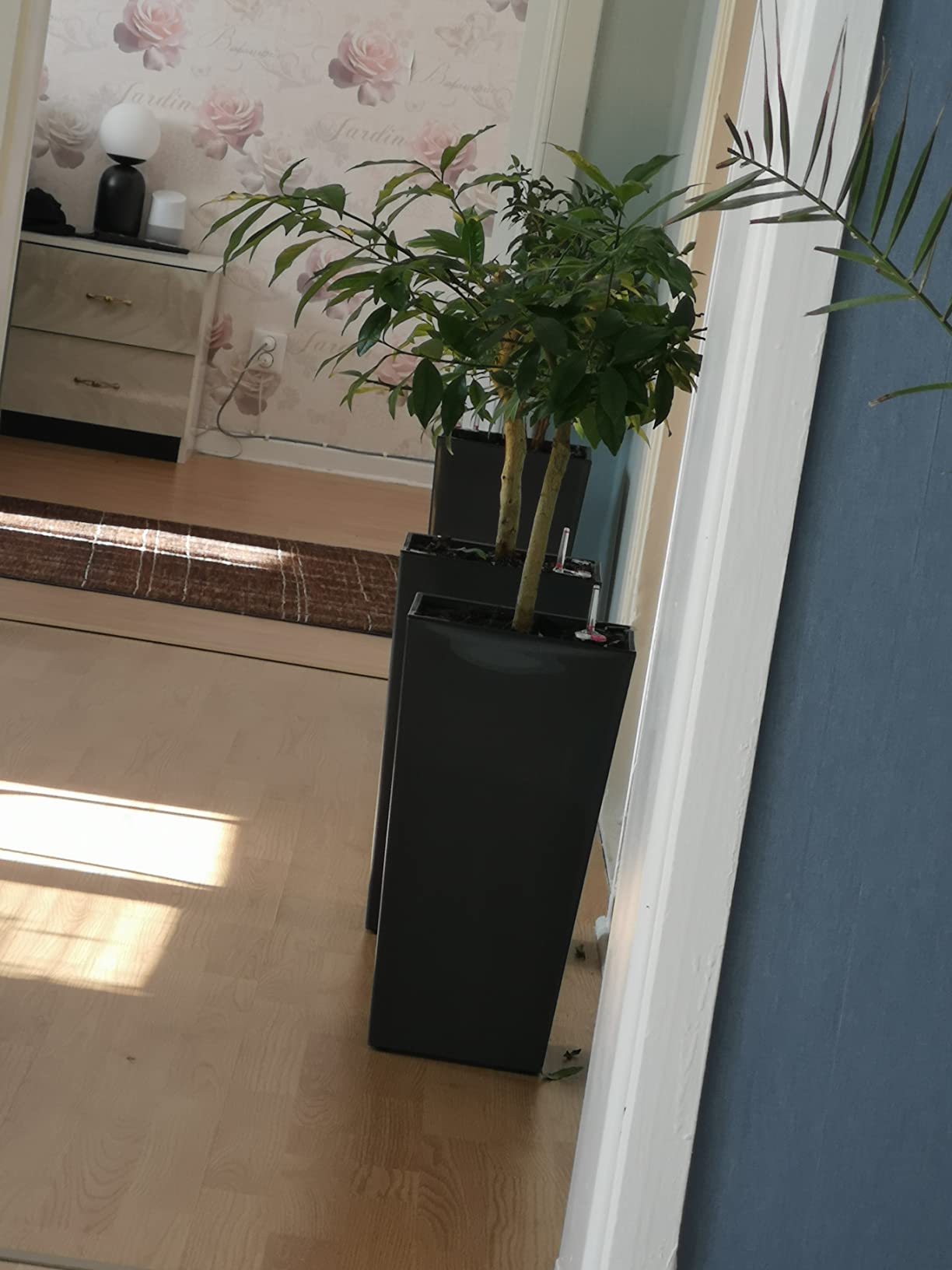 Deckel sitzt locker