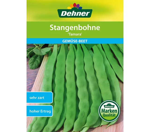 dehner-stangenbohne-tamara-bohnensamen-5er-pack-ertragreich image 1