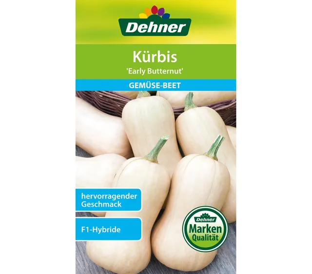 dehner-k-rbis-early-butternut-gem-sesamen-5er-pack-f1-hybride image 1