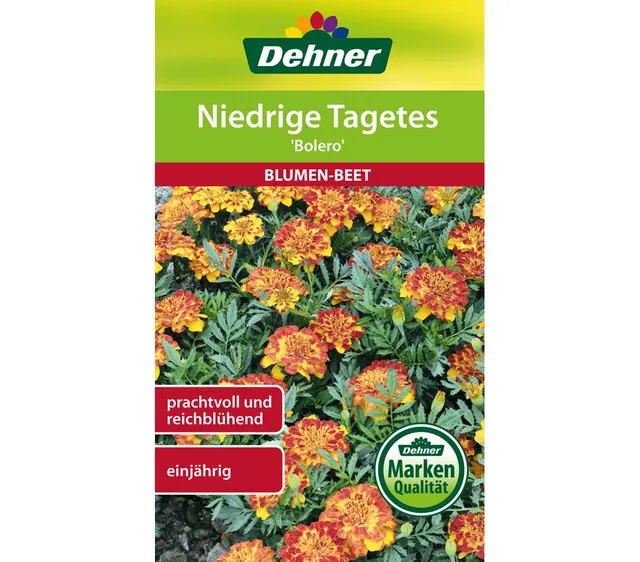 dehner-niedrige-tagetes-bolero-blumensamen-5er-pack-einj-hrig image 1