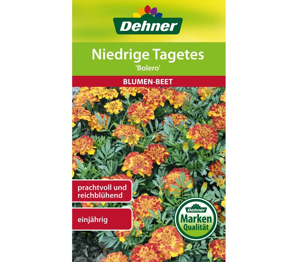 dehner-niedrige-tagetes-bolero-blumensamen-5er-pack-einj-hrig image 1