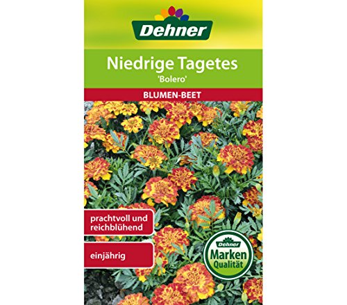 dehner-niedrige-tagetes-bolero-blumensamen-5er-pack-einj-hrig image 3
