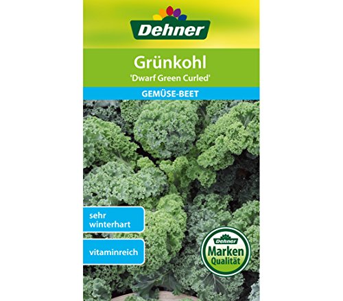 dehner-gr-nkohl-dwarf-green-curled-samen-2g-winterhart image 3