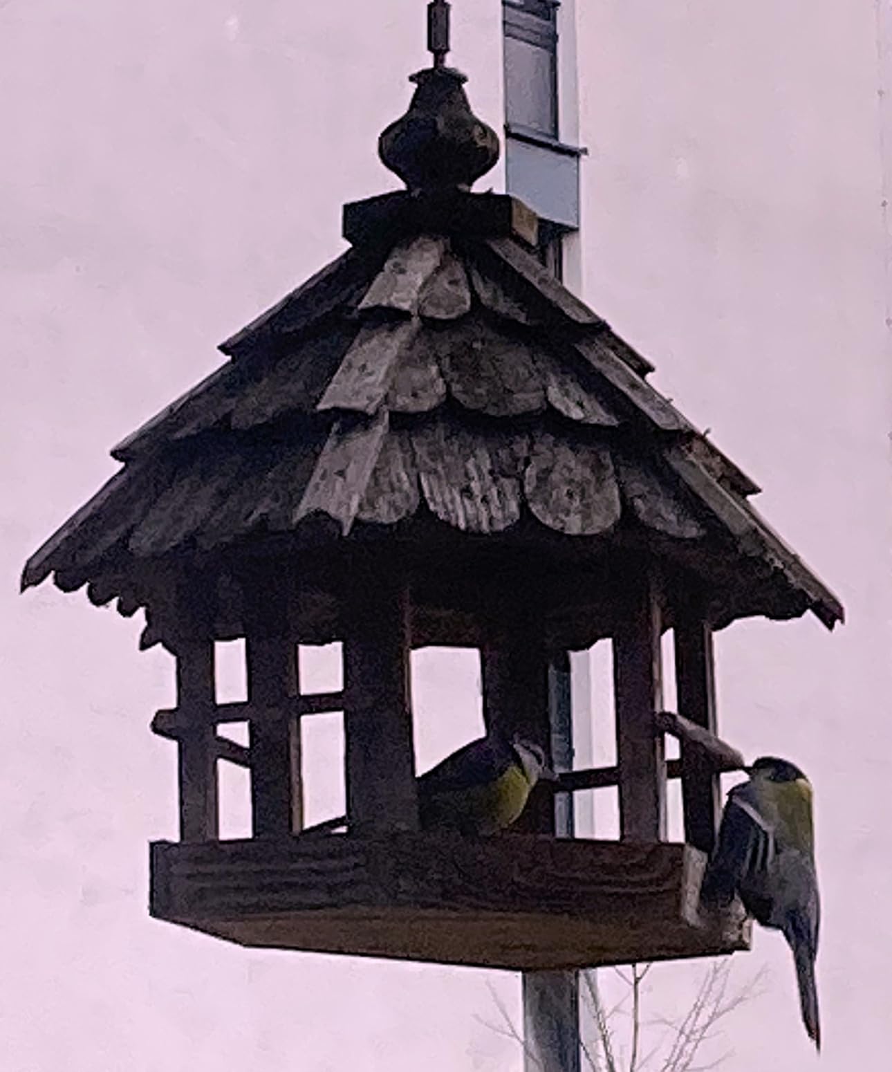 Ohne Schalen