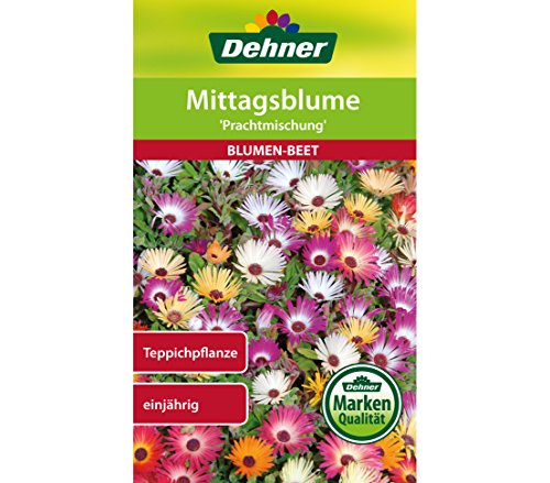dehner-mittagsblume-prachtmischung-blumensamen-5er-pack image 3