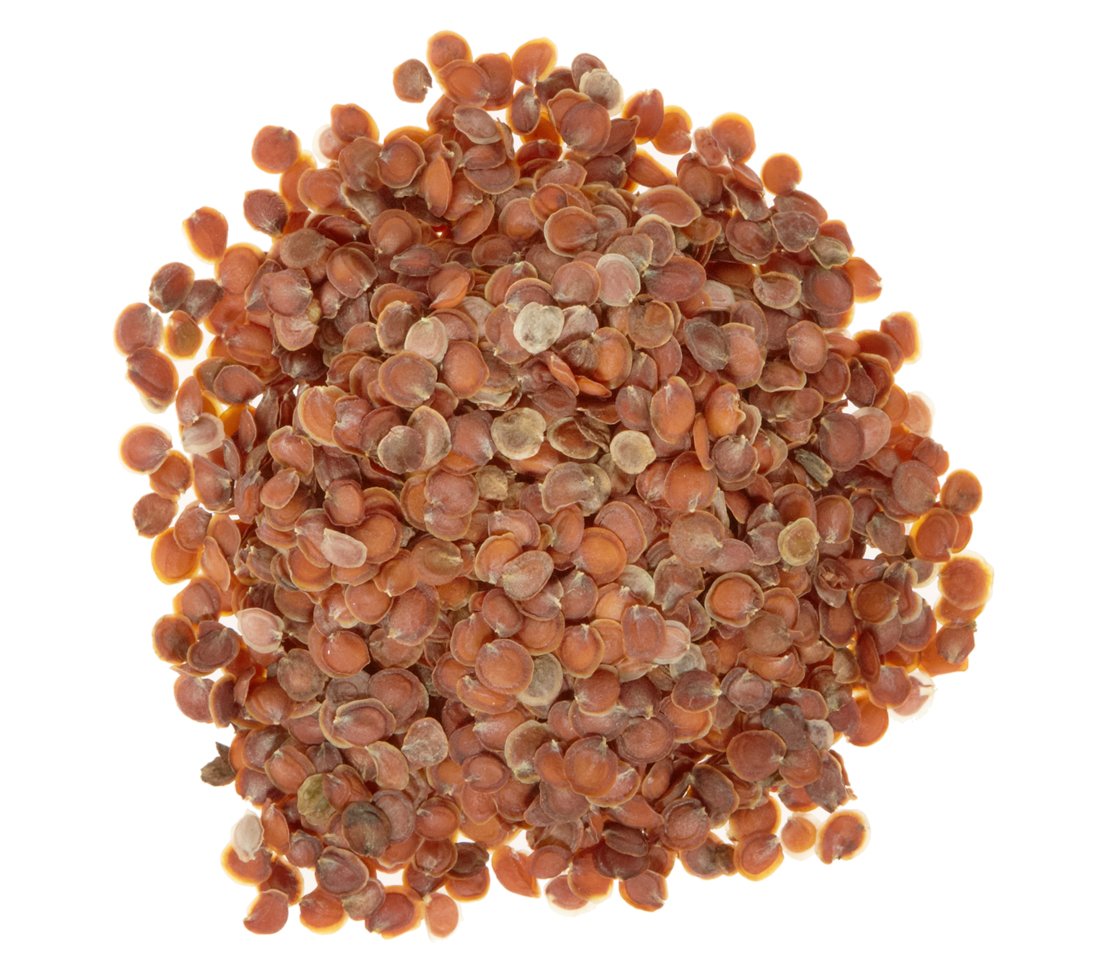 dehner-steinkraut-kompakta-blumensamen-gelb-5er-pack image 3