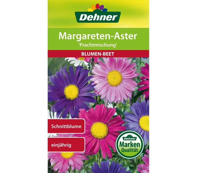 dehner-margareten-aster-prachtmischung-blumensamen-5er-pack-duft image 1