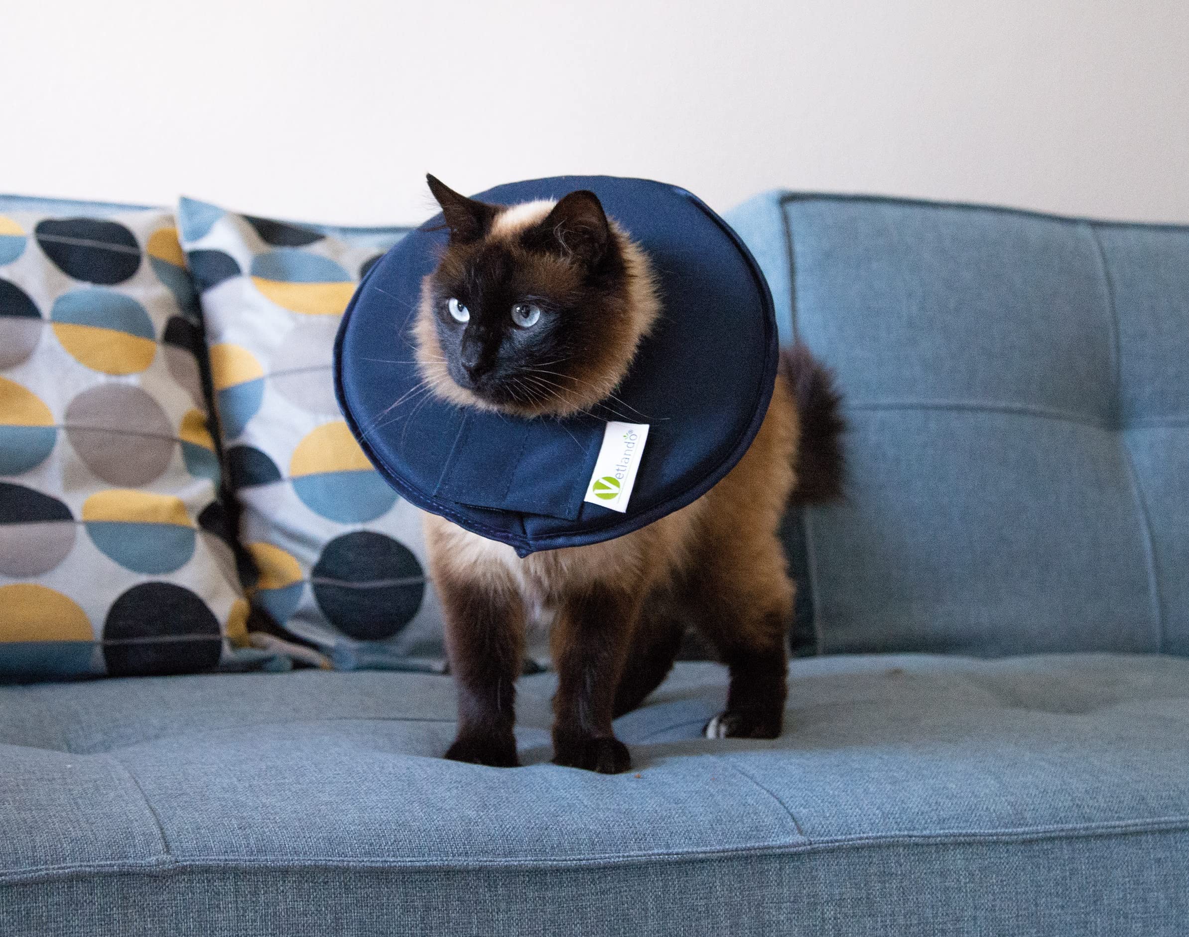 dehner-lieblinge-leckschutzkragen-hund-katze-xl-schwarz image 4