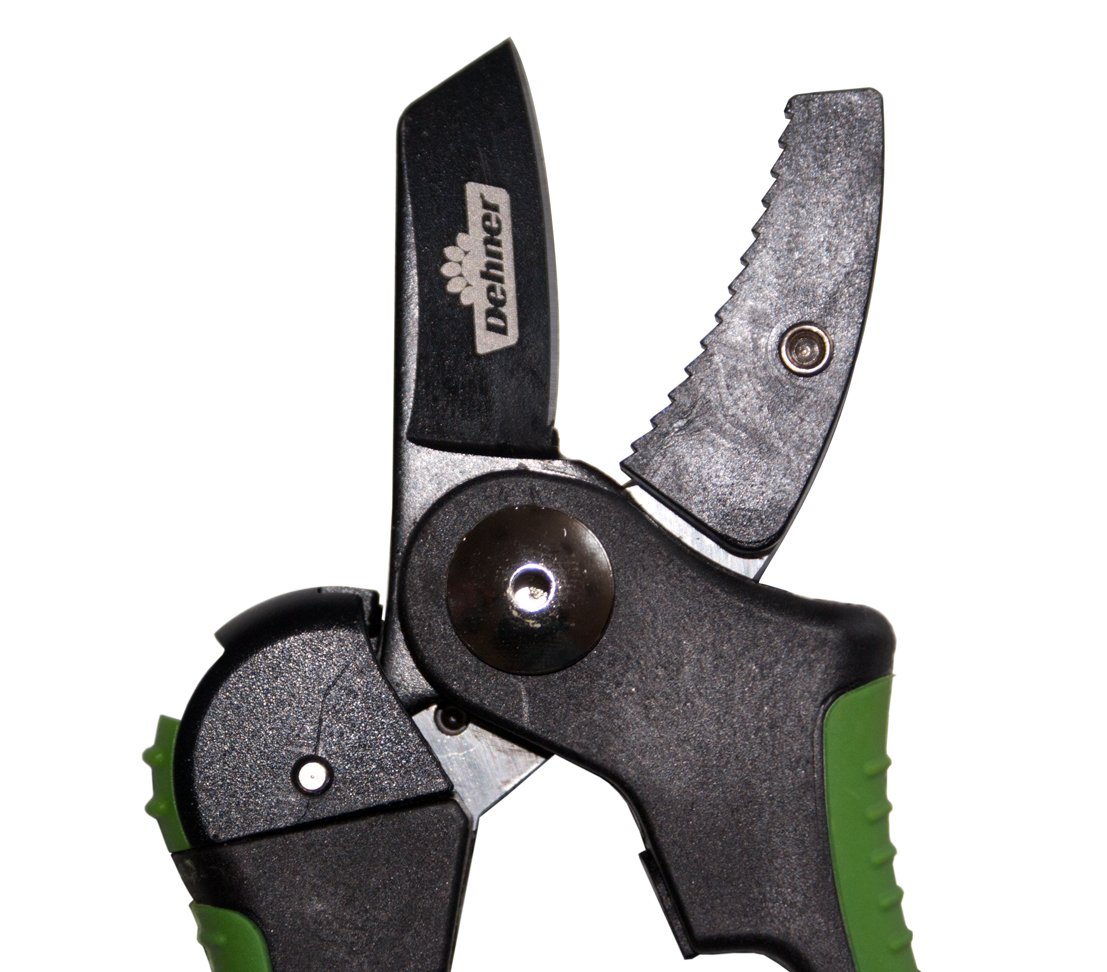 dehner-amboss-hobby-gartenschere-bypass-bis-2-cm image 2