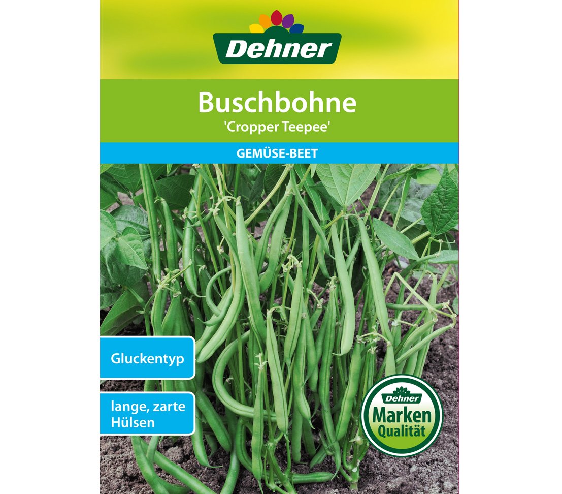 dehner-cropper-teepee-buschbohne-samen-5er-pack-fadenlos image 1