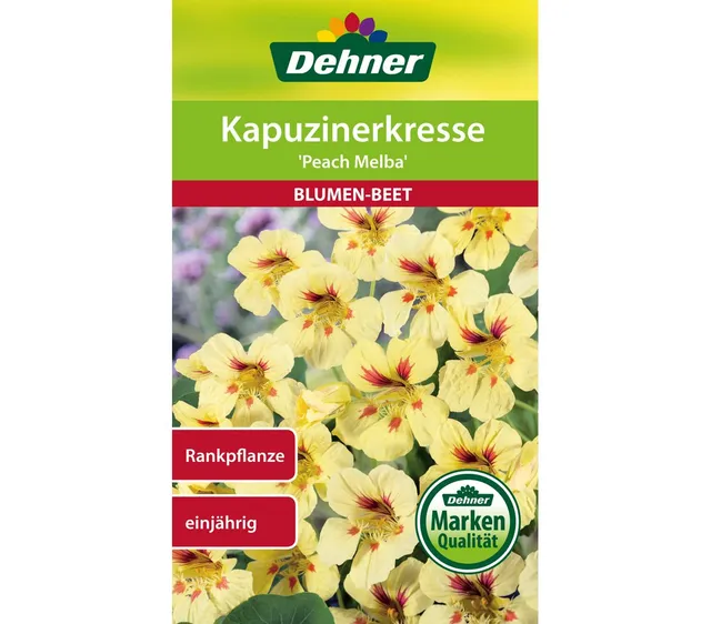 dehner-kapuzinerkresse-peach-melba-saatgut-5x5-g image 1