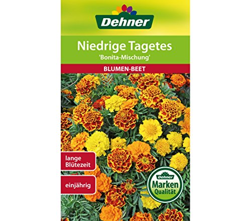dehner-tagetes-bonita-mischung-blumensamen-5er-pack-langbl-hend image 3