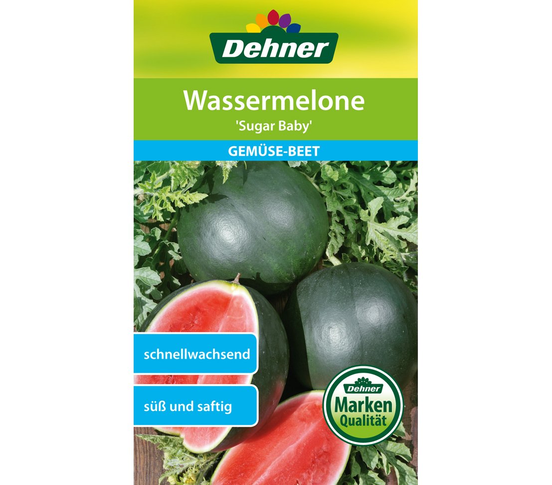 dehner-wild-nature-sugar-baby-wassermelone-samen-5er-pack image 1