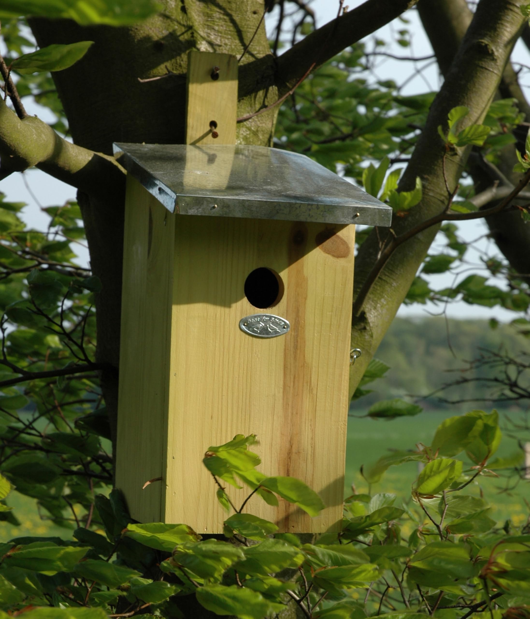 dehner-beobachtungsnistkasten-holz-plexiglas-kohlmeisen-33cm image 7