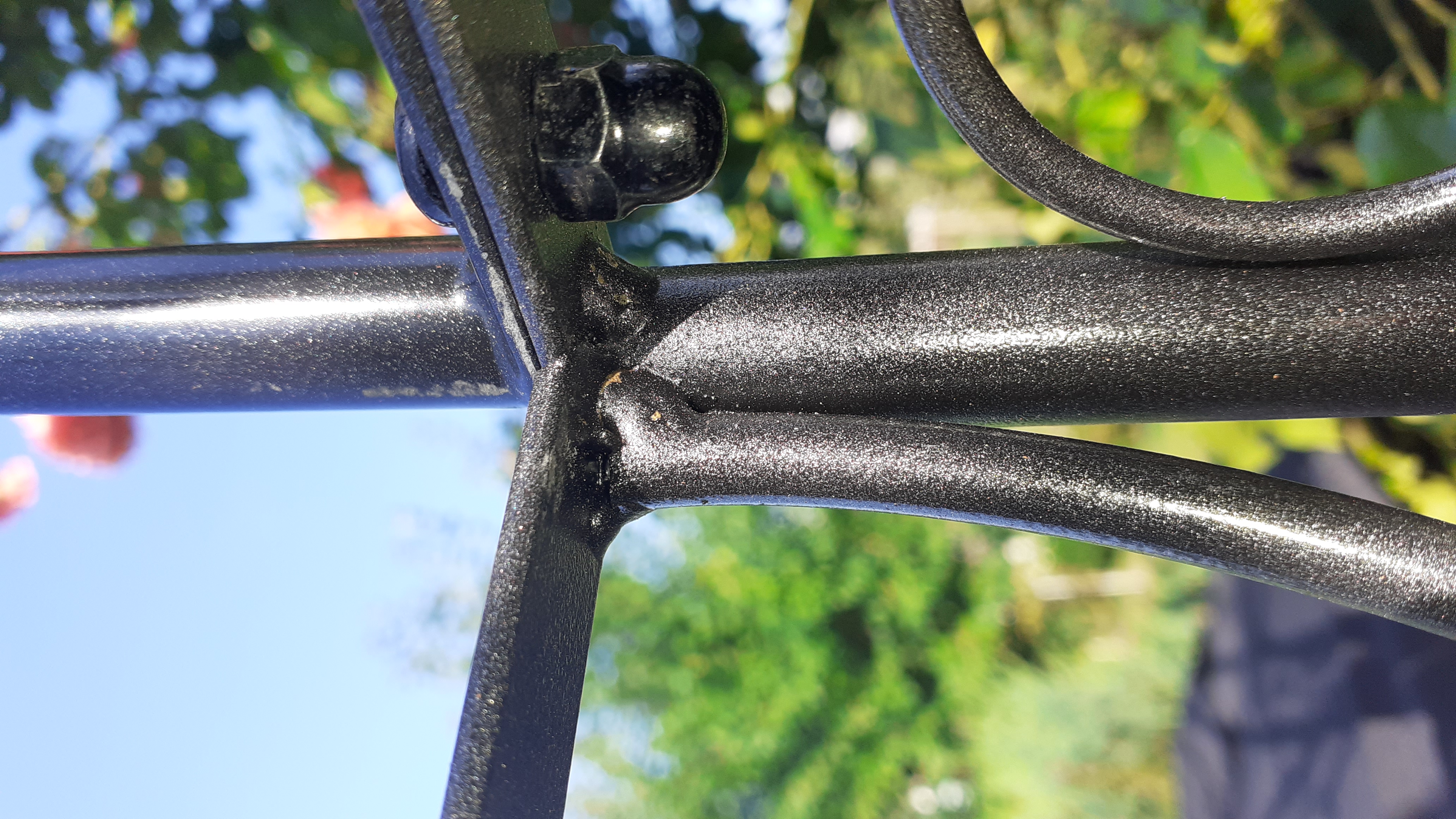 Farbe passt zum Zaun