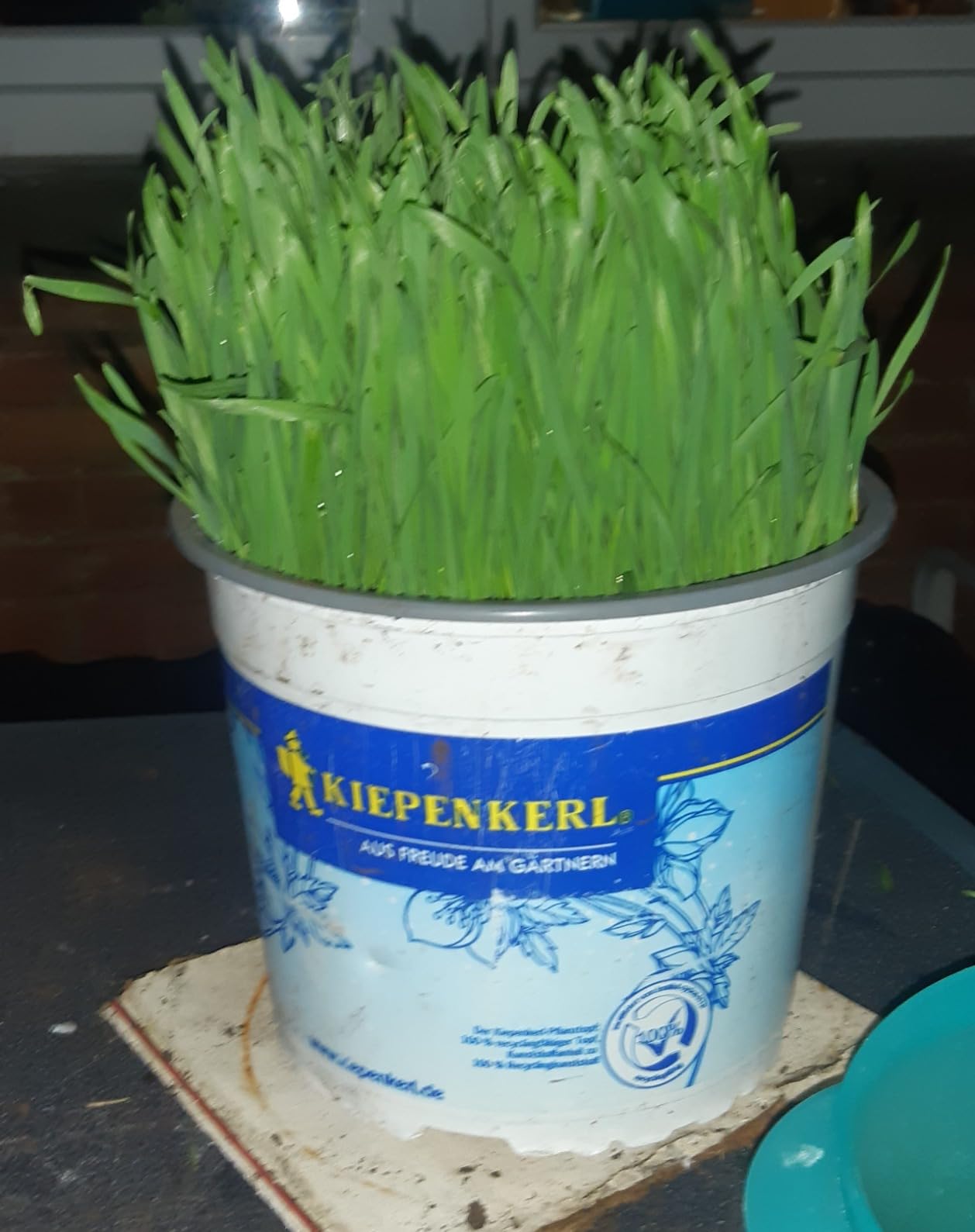 Nachkauf