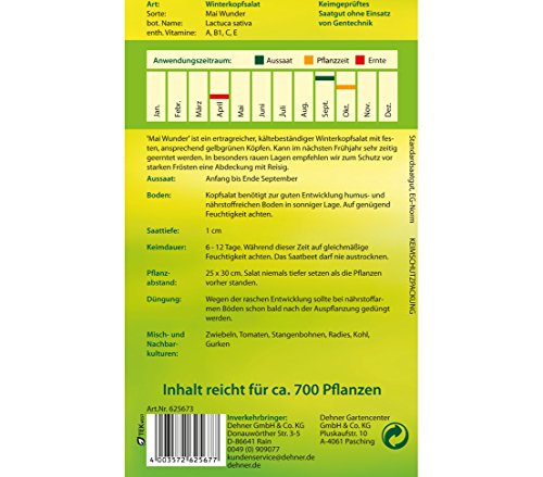 dehner-mai-wunder-kopfsalat-samen-5er-pack-winterhart image 4