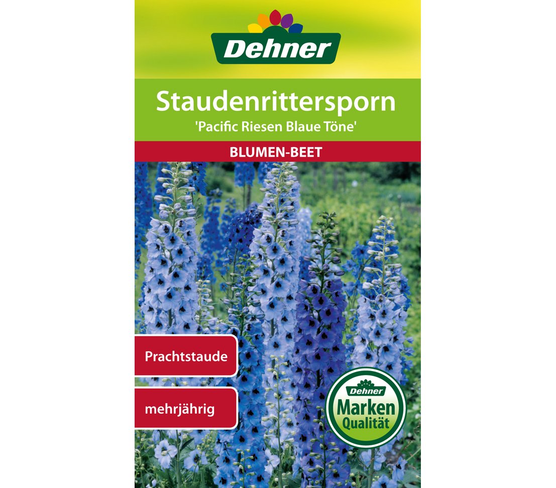 dehner-pacific-riesen-staudenrittersporn-saatgut-5x1-g-blau image 1