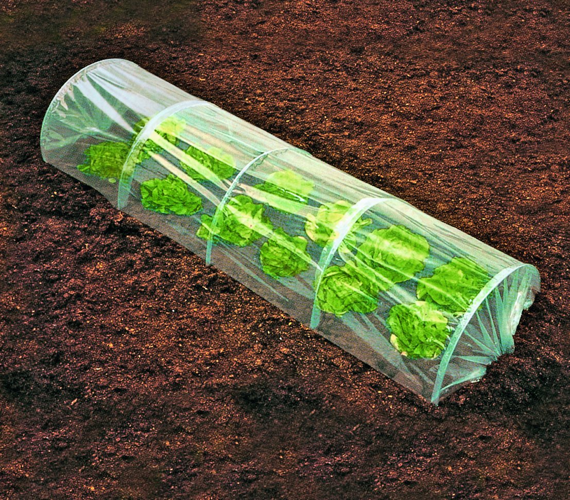 dehner-folientunnel-garten-250x80-cm-polyethylen-faltbar image 2