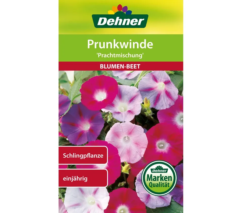 dehner-blumen-saatgut-prunkwinde-prachtmischung-5x2-5g image 1