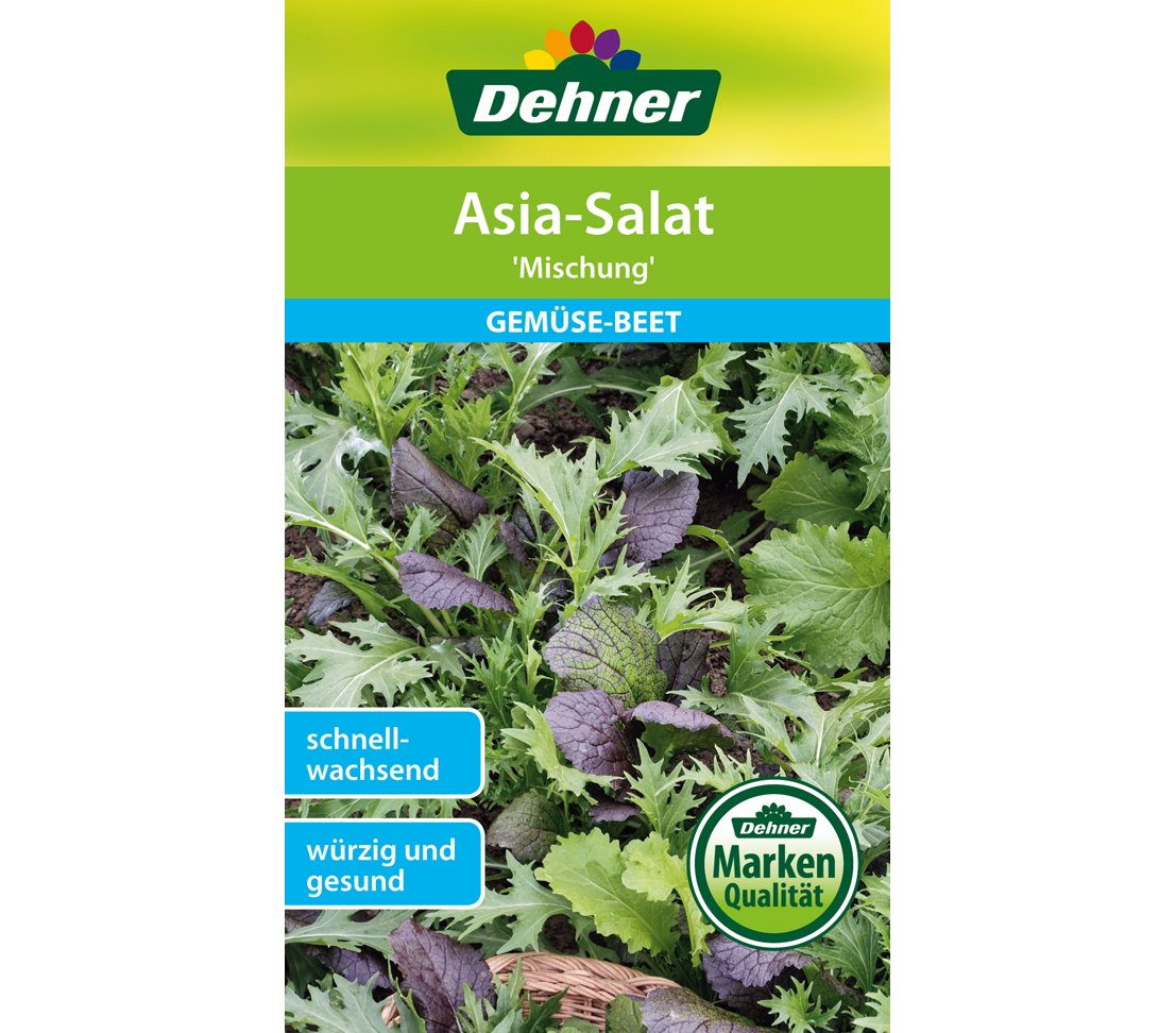 dehner-asia-salat-mischung-gem-sesamen-5x4g-schnellwachsend image 1
