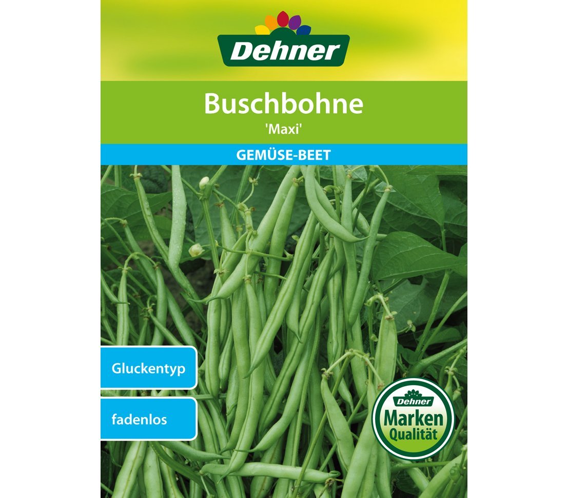 dehner-buschbohne-maxi-gem-sesaatgut-5er-pack-fadenlos image 1